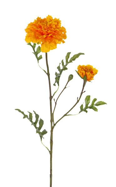 Marigold | Rose d'Inde 63cm Orange