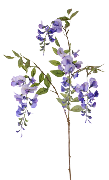 Wisteria | Glycine 80cm Blue