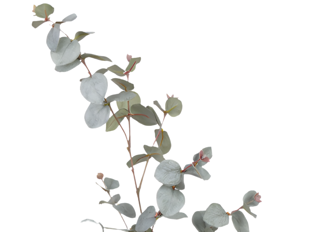 Eucalyptus 85cm Grey Green