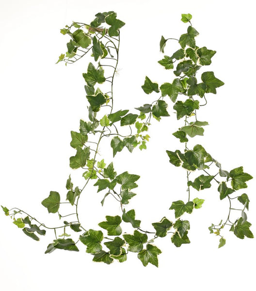 Ivy | Lierre 205cm Green White UVsafe