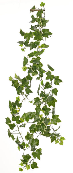 Ivy | Lierre 205cm Green White UVsafe