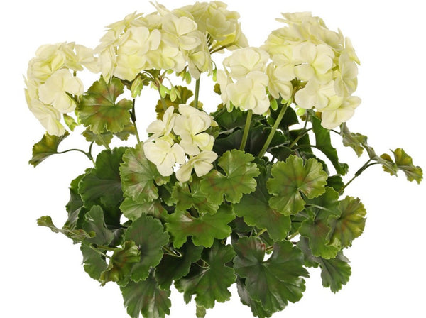 Geranium 39cm White UVsafe