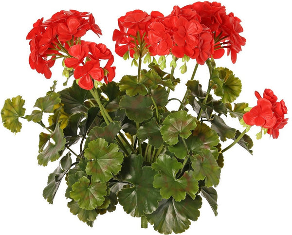 Geranium 39cm Red UVsafe