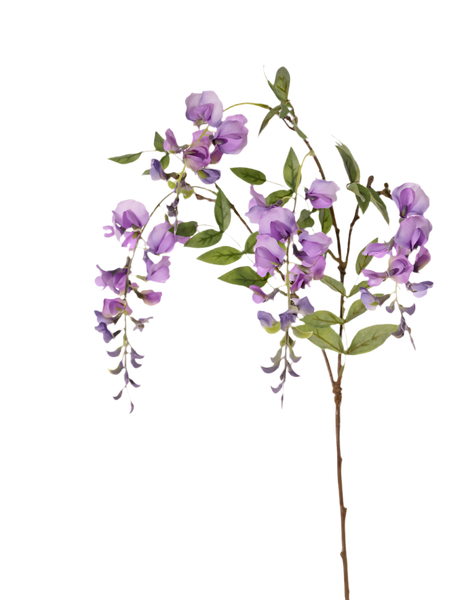 Wisteria | Glycine 80cm Lavender