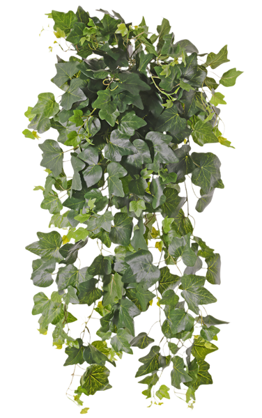 Ivy | Lierre 75cm UVsafe