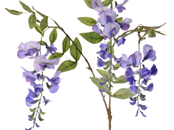 Wisteria | Glycine 80cm Blue
