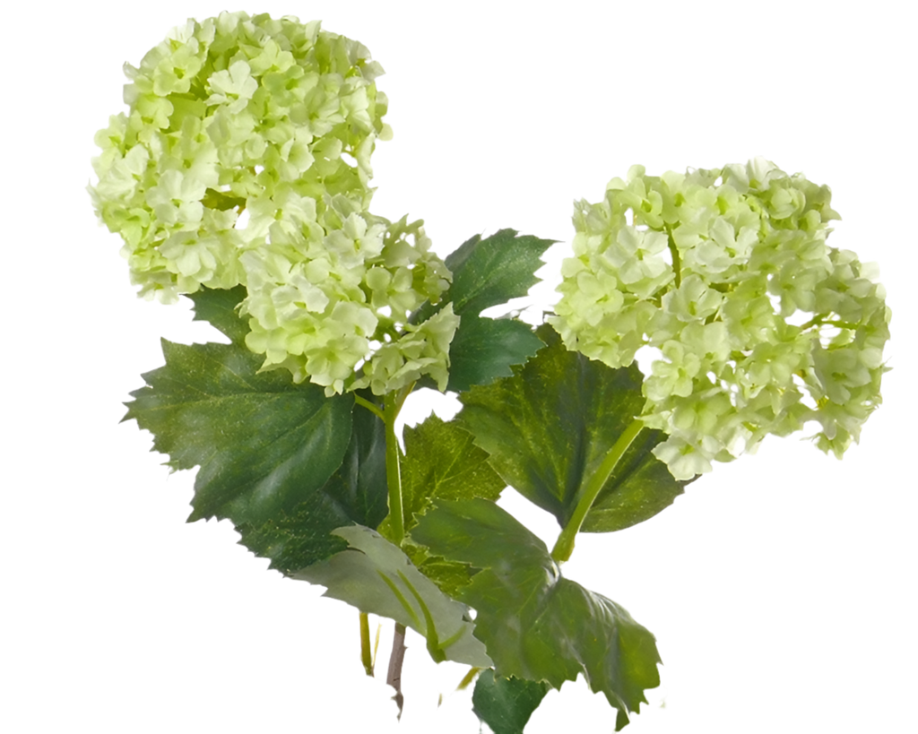 Viburnum | Boule de neige 53cm Light Green