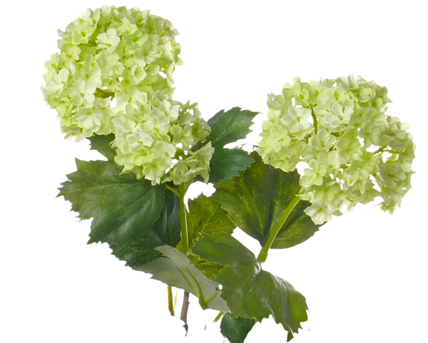 Viburnum | Boule de neige 53cm Light Green
