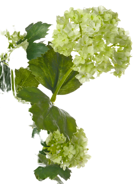 Viburnum | Boule de neige 53cm Light Green