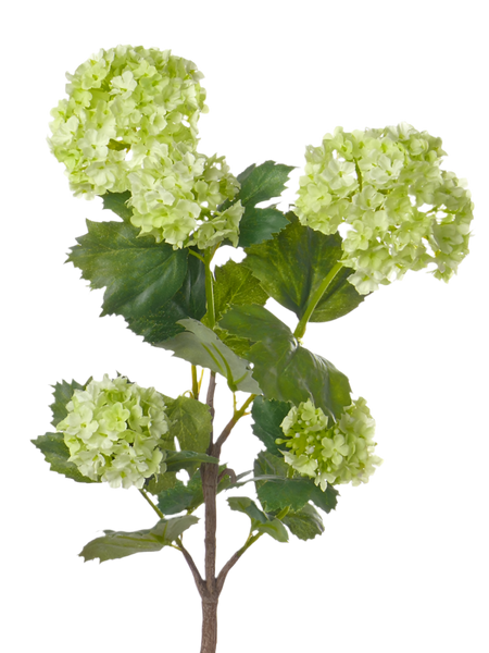 Viburnum | Boule de neige 53cm Light Green