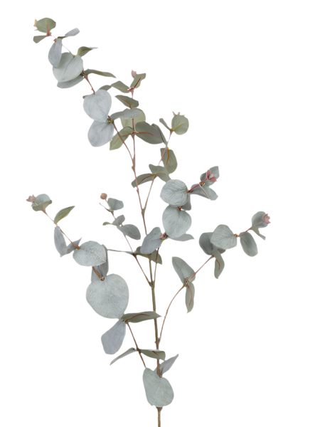 Eucalyptus 85cm Grey Green