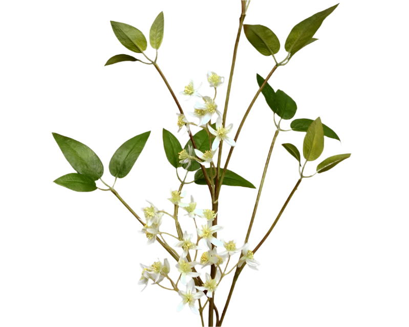 Jasmin | Jasmine 90cm White