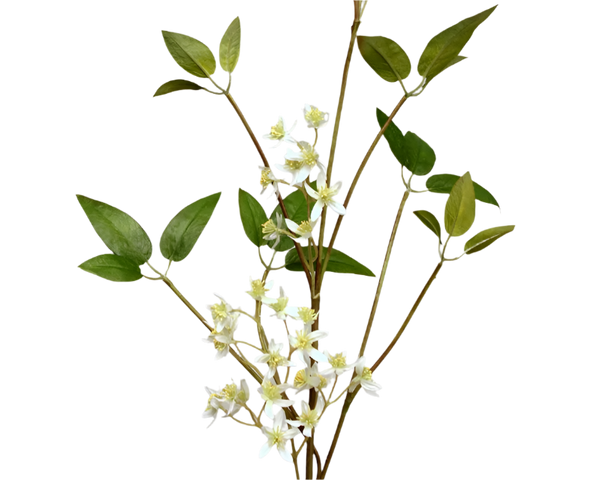 Jasmin | Jasmine 90cm White