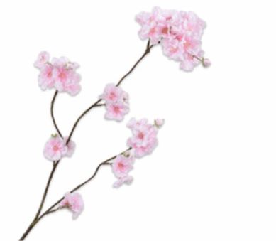 Cherry Blossom | Fleurs de Cerisier 84cm Light Pink