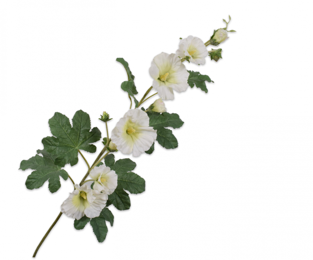 Hollyhock | Rose Trémière 117cm White
