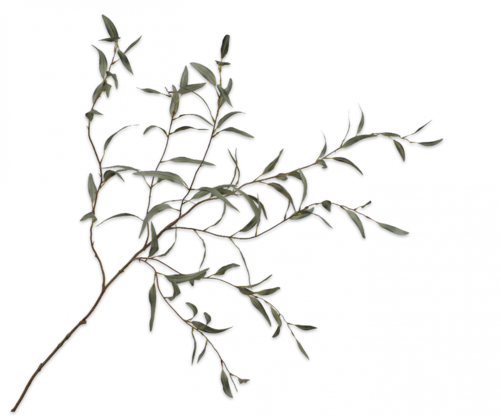 Eucalyptus 123cm Green