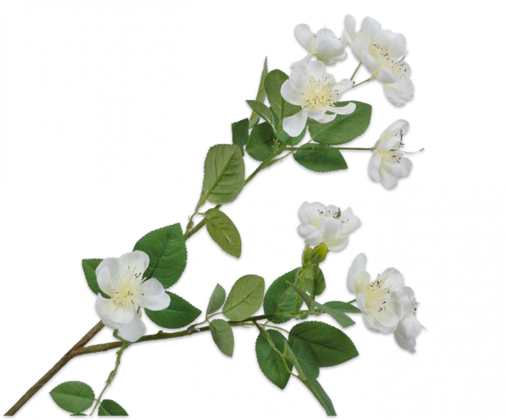 Rose Blossom | Floraison 66cm Cream