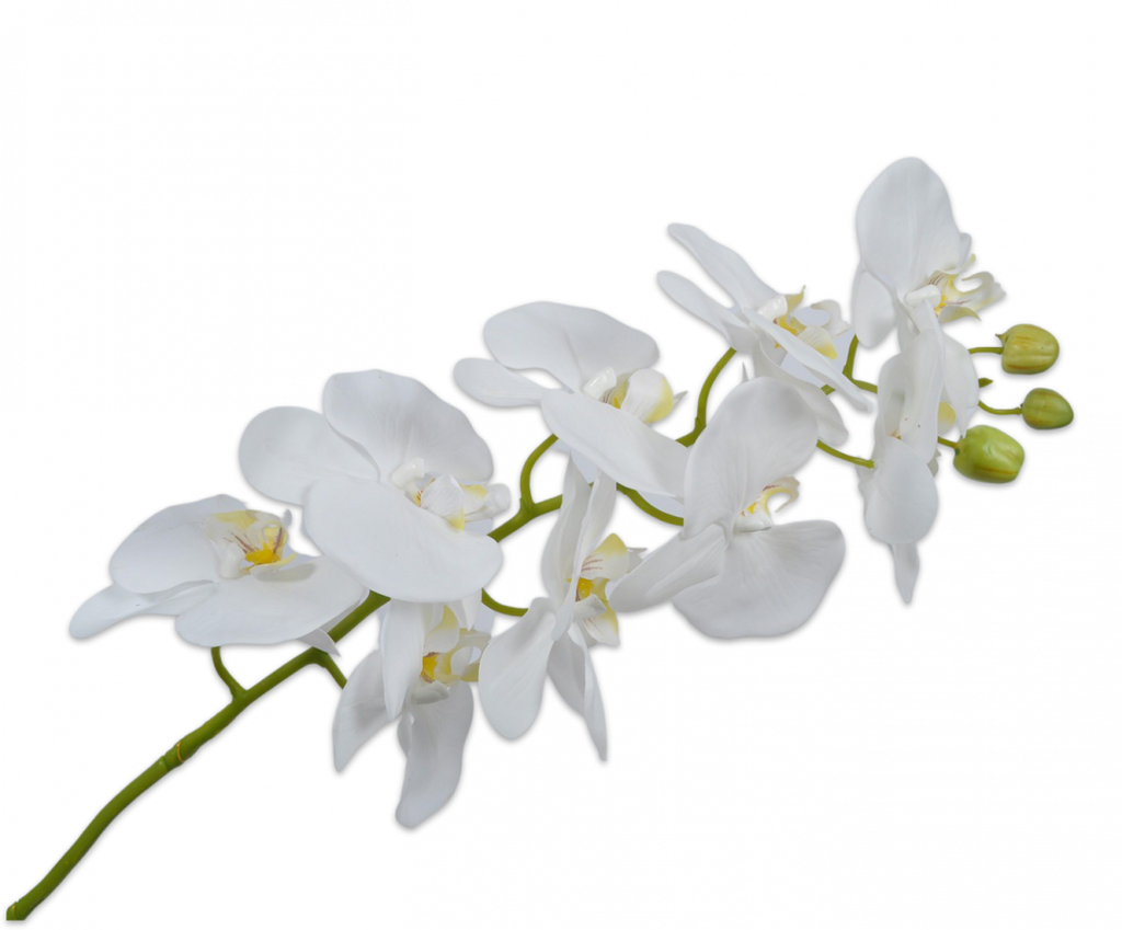 Orchid | Orchidée 100cm White