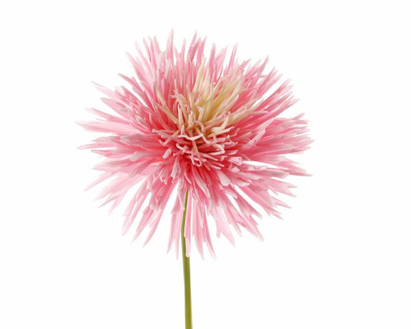 Chrysanthemum | Chrysanthème 58cm Pink