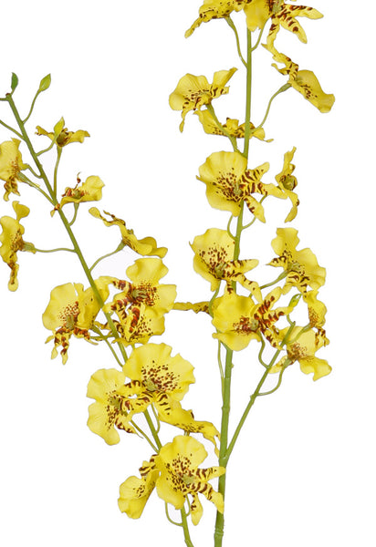Orchid | Orchidée 87cm Yellow