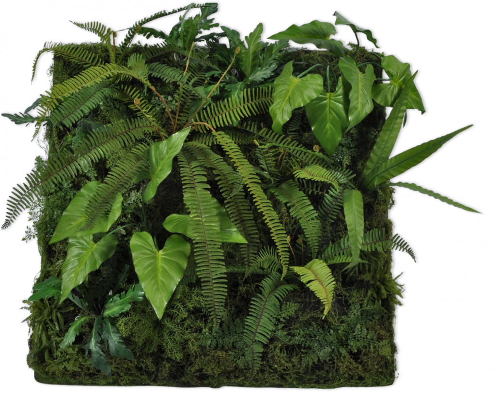 Moss Square | Carré de mousse 100cm