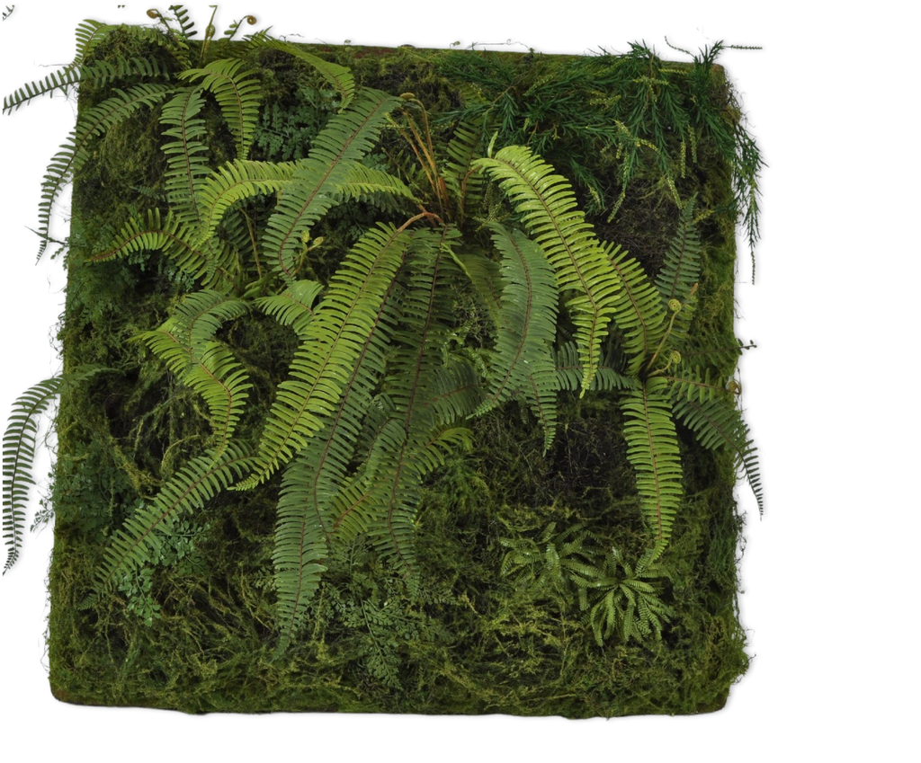 Moss Square | Carré de mousse 100cm