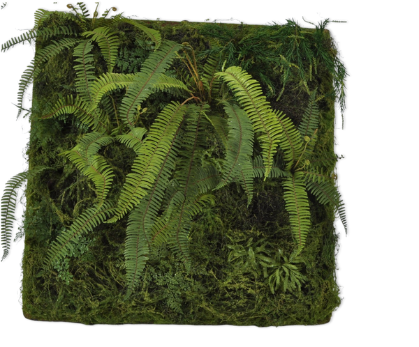 Moss Square | Carré de mousse 100cm
