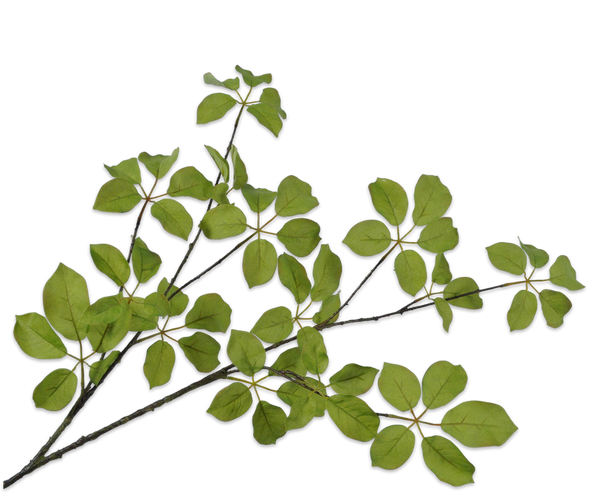 Greenery | Feuillage 120cm Green