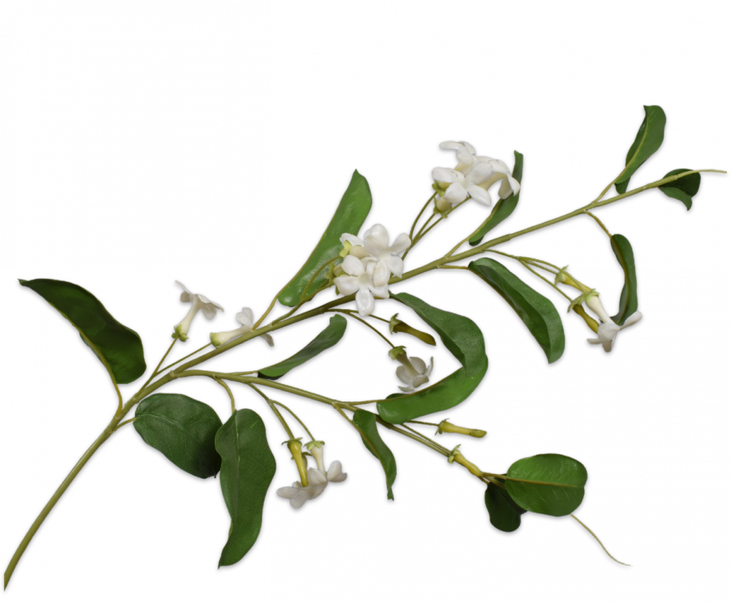 Stephanotis 98cm White