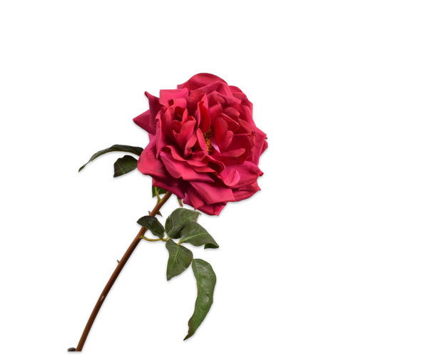 Rose 51cm RealTouch Fuchsia