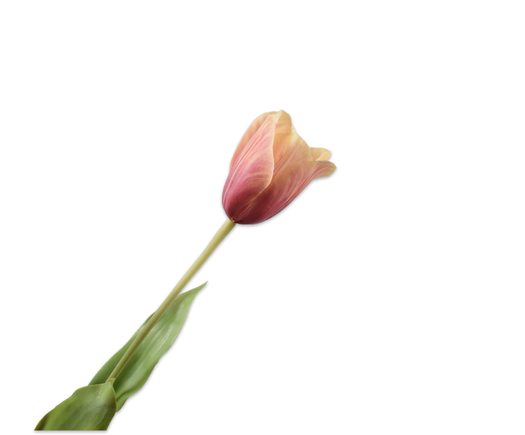 Tulip | Tulipe 72cm RealTouch Mauve