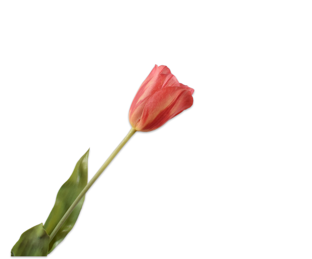 Tulip | Tulipe 72cm RealTouch Red Yellow