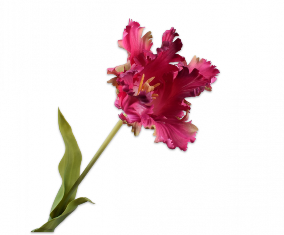 Tulip Parrot | Tulipe Perroquet 71cm RealTouch Purple Pink