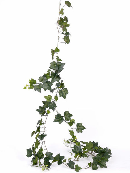 Ivy | Lierre 205cm UVsafe