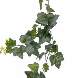 Ivy | Lierre 205cm UVsafe
