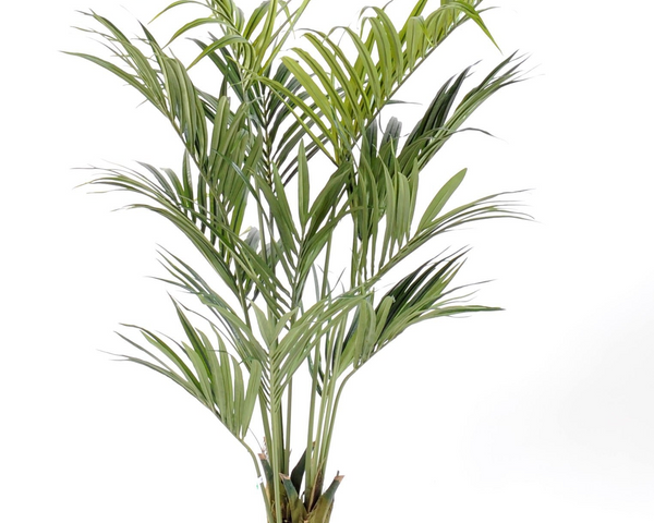 Potted artificial palm plant on a white background