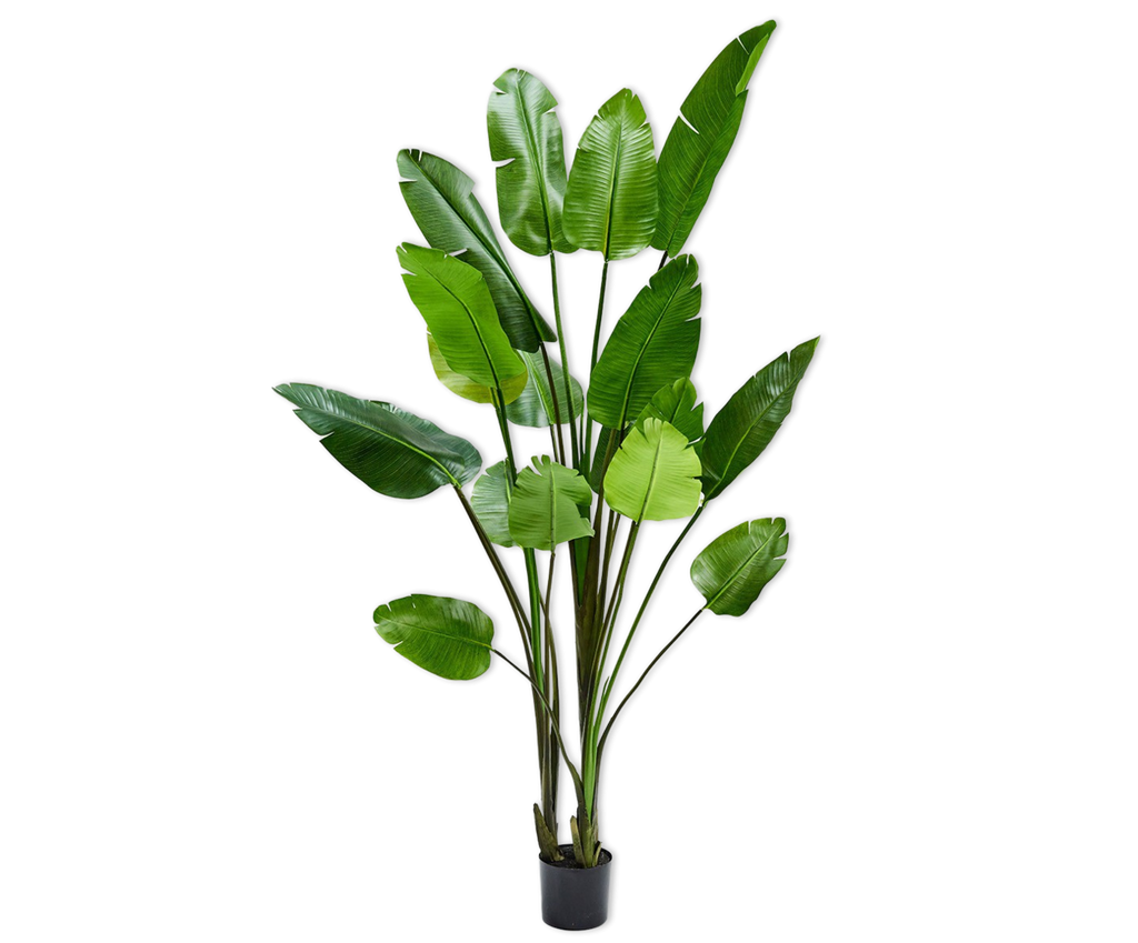 Plante artificielle Strelitzia en pot plastique