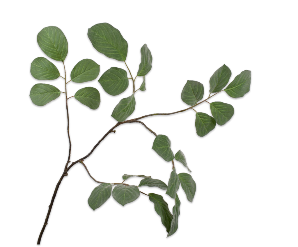 Greenery | Feuillage 148cm Green Grey