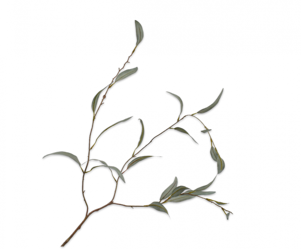 Eucalyptus 96cm Green