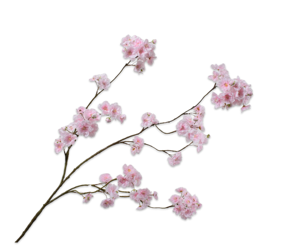 Cherry Blossom | Fleurs de Cerisier 127cm Light Pink