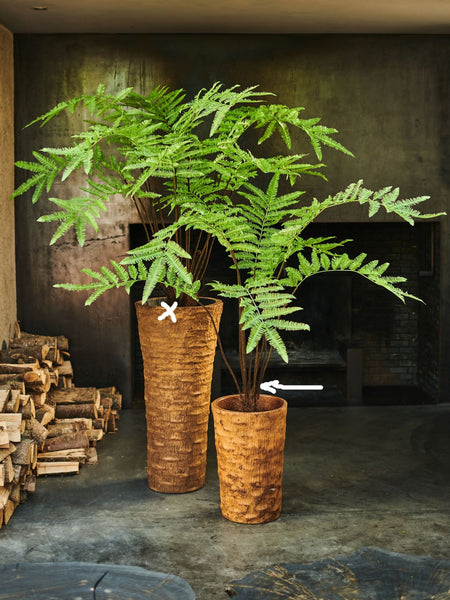 Fern | Fougère 156cm