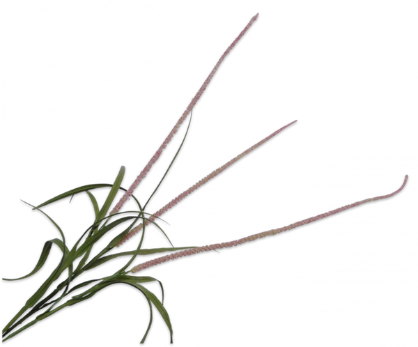 Grass | Herbe 135cm Lavender