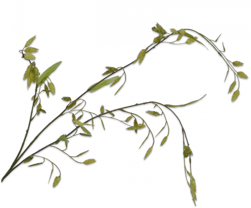 Grass | Herbe ramifiée 90cm Green