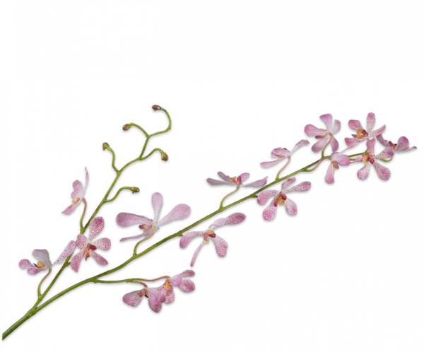 Orchid | Orchidée 108cm Pink