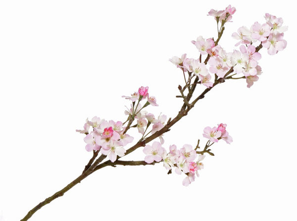 Apple blossom | Fleurs de Pommier 104cm Pink