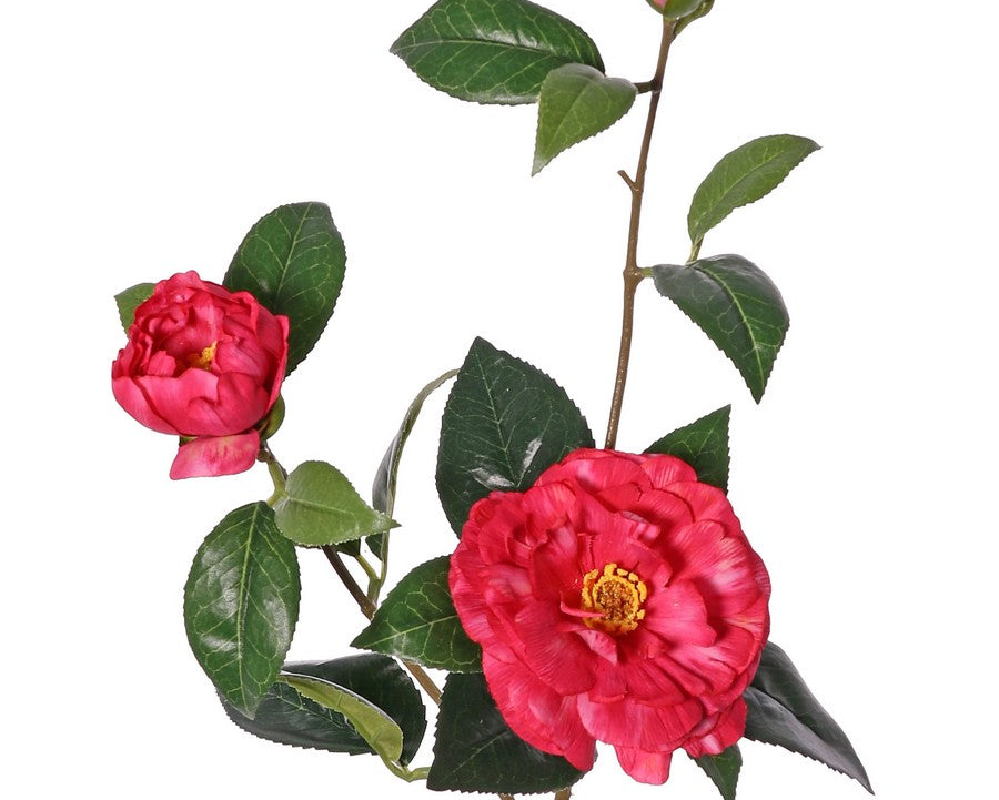 Camellia | Camélia 87cm Pink