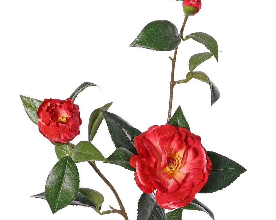 Camellia | Camélia 87cm Red