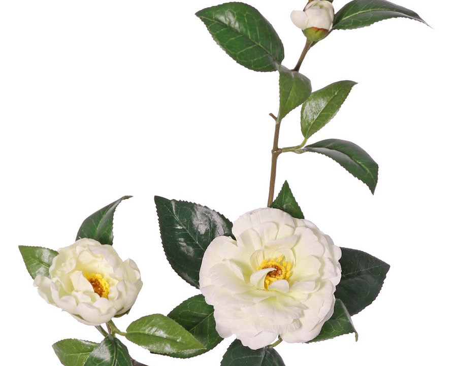 Camellia | Camélia 87cm White
