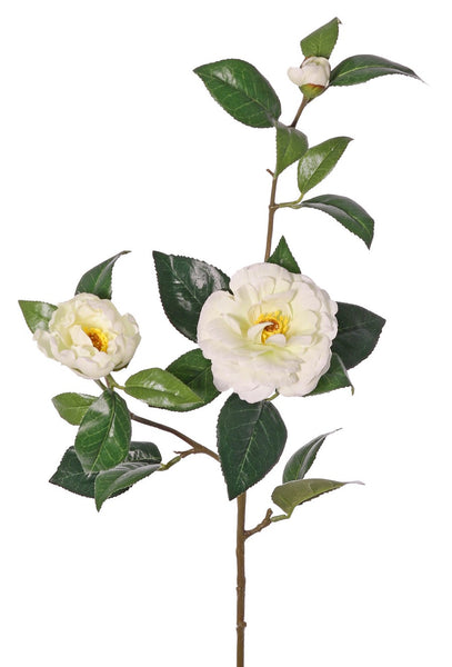 Camellia | Camélia 87cm White