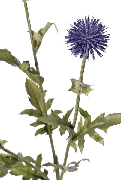 Thistle | Chardon 76cm Blue